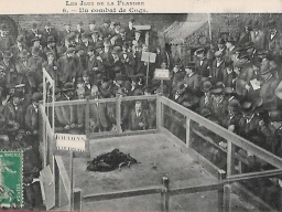 36 combat de coqs